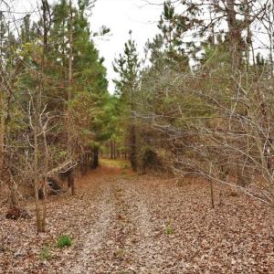 Photo #11 of SOLD property in Off Bringle Ferry Road, Salisbury, NC 56.5 acres