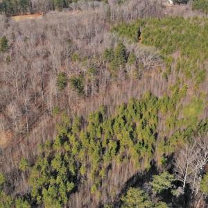 Photo #4 of SOLD property in Off Bringle Ferry Road, Salisbury, NC 74.0 acres