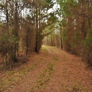 Photo #7 of SOLD property in Off Bringle Ferry Road, Salisbury, NC 74.0 acres