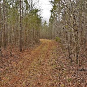 Photo #8 of SOLD property in Off Bringle Ferry Road, Salisbury, NC 74.0 acres
