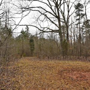 Photo #9 of SOLD property in Off Bringle Ferry Road, Salisbury, NC 74.0 acres