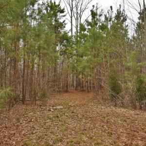 Photo #10 of SOLD property in Off Bringle Ferry Road, Salisbury, NC 74.0 acres