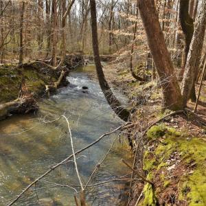 Photo #11 of SOLD property in Off Bringle Ferry Road, Salisbury, NC 74.0 acres