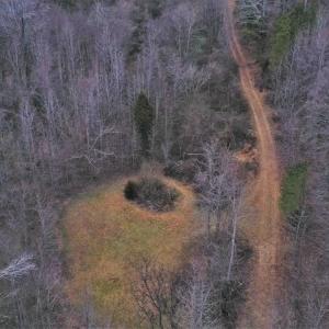 Photo #4 of SOLD property in Off Morgan Road, Albemarle, NC 21.9 acres