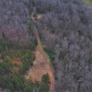 Photo #5 of SOLD property in Off Morgan Road, Albemarle, NC 21.9 acres