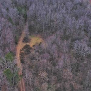 Photo #6 of SOLD property in Off Morgan Road, Albemarle, NC 21.9 acres