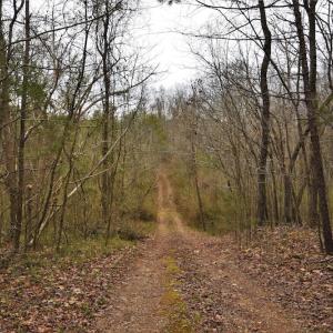 Photo #8 of SOLD property in Off Morgan Road, Albemarle, NC 21.9 acres