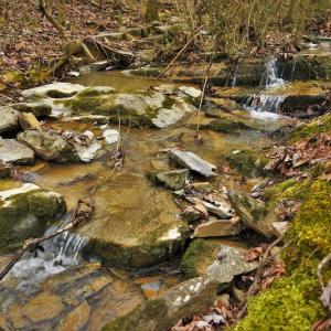 Photo #9 of SOLD property in Off Morgan Road, Albemarle, NC 21.9 acres