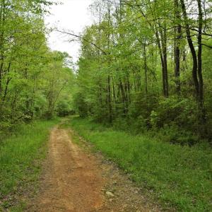 Photo #6 of SOLD property in Off Pennington Road, Albemarle, NC 67.4 acres