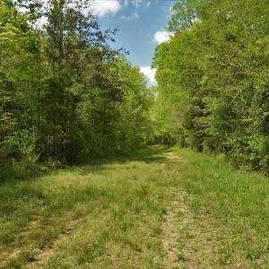 Photo #8 of SOLD property in Off Pennington Road, Albemarle, NC 67.4 acres