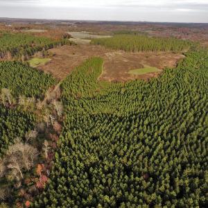 Photo #2 of SOLD property in Off Efird Road, Albemarle, NC 109.3 acres