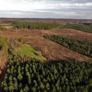 Photo #3 of SOLD property in Off Efird Road, Albemarle, NC 109.3 acres