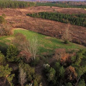 Photo #6 of SOLD property in Off Efird Road, Albemarle, NC 109.3 acres