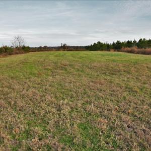 Photo #9 of SOLD property in Off Efird Road, Albemarle, NC 109.3 acres