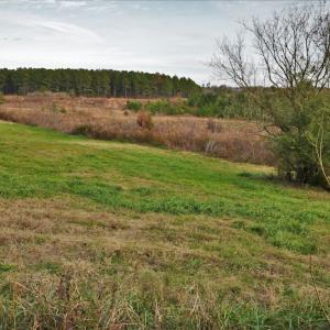 Photo #10 of SOLD property in Off Efird Road, Albemarle, NC 109.3 acres
