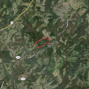 Photo #12 of SOLD property in Off Efird Road, Albemarle, NC 109.3 acres