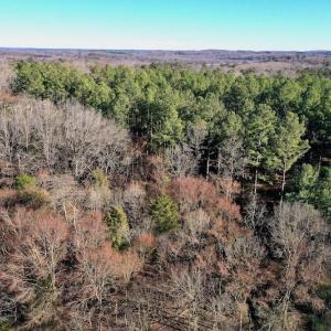 Photo #5 of SOLD property in Off Carpenter Road, Marshville, NC 16.2 acres