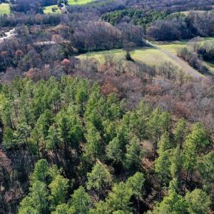 Photo #6 of SOLD property in Off Carpenter Road, Marshville, NC 16.2 acres