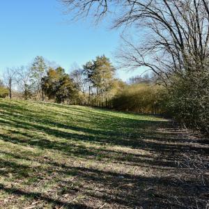 Photo #9 of SOLD property in Off Carpenter Road, Marshville, NC 16.2 acres