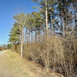 Photo #10 of SOLD property in Off Carpenter Road, Marshville, NC 16.2 acres
