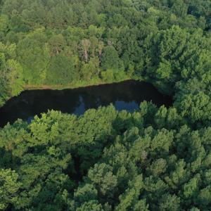 Photo #4 of SOLD property in Off Old Pageland Hwy, Monroe, NC 24.8 acres