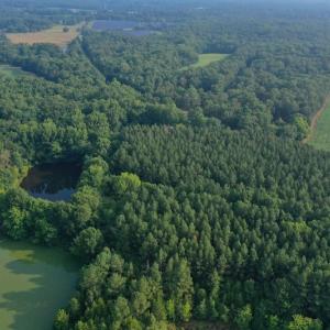 Photo #5 of SOLD property in Off Old Pageland Hwy, Monroe, NC 24.8 acres