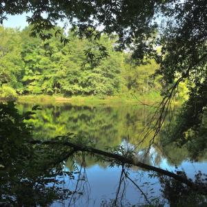 Photo #9 of SOLD property in Off Old Pageland Hwy, Monroe, NC 24.8 acres