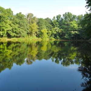 Photo #10 of SOLD property in Off Old Pageland Hwy, Monroe, NC 24.8 acres