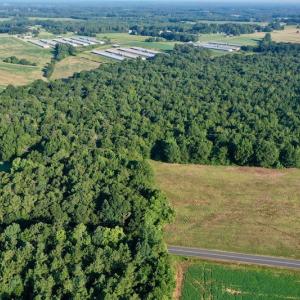 Photo #2 of SOLD property in Off Nance Tarlton Road, Marshville, NC 46.8 acres