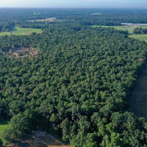 Photo #3 of SOLD property in Off Nance Tarlton Road, Marshville, NC 46.8 acres