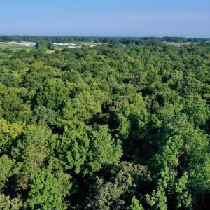 Photo #4 of SOLD property in Off Nance Tarlton Road, Marshville, NC 46.8 acres