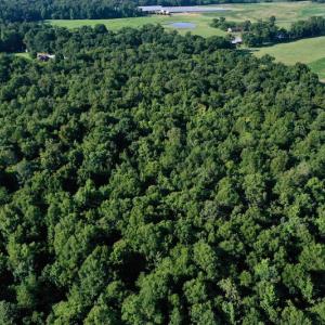 Photo #5 of SOLD property in Off Nance Tarlton Road, Marshville, NC 46.8 acres