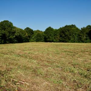 Photo #7 of SOLD property in Off Nance Tarlton Road, Marshville, NC 46.8 acres