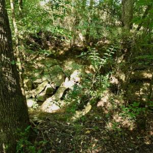Photo #9 of SOLD property in Off Nance Tarlton Road, Marshville, NC 46.8 acres