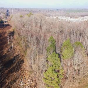 Photo #3 of SOLD property in Off Old Airport Road, Concord, NC 38.1 acres
