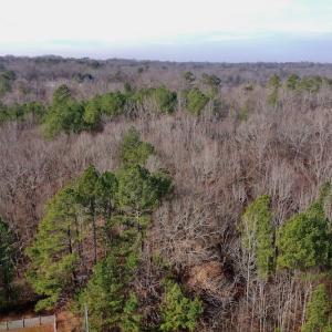 Photo #21 of SOLD property in Off Old Airport Road, Concord, NC 38.1 acres