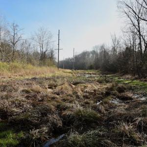 Photo #29 of SOLD property in Off Old Airport Road, Concord, NC 38.1 acres