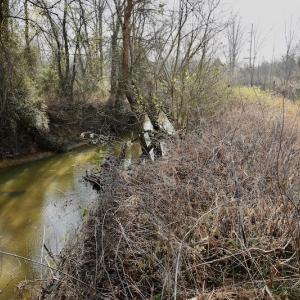 Photo #32 of SOLD property in Off Old Airport Road, Concord, NC 38.1 acres