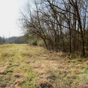Photo #36 of SOLD property in Off Old Airport Road, Concord, NC 38.1 acres