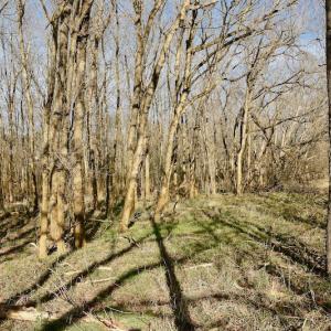 Photo #37 of SOLD property in Off Old Airport Road, Concord, NC 38.1 acres