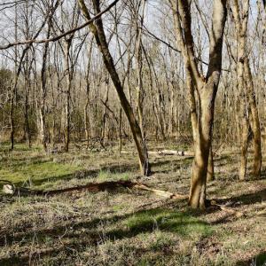 Photo #38 of SOLD property in Off Old Airport Road, Concord, NC 38.1 acres