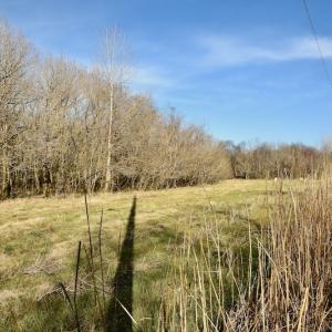 Photo #39 of SOLD property in Off Old Airport Road, Concord, NC 38.1 acres