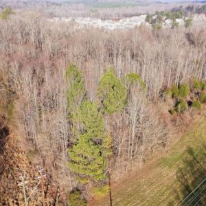 Photo #5 of SOLD property in Off Old Airport Road, Concord, NC 38.1 acres