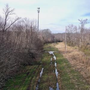 Photo #8 of SOLD property in Off Old Airport Road, Concord, NC 38.1 acres