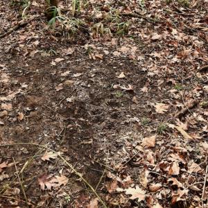 Photo #44 of SOLD property in Off Old Airport Road, Concord, NC 38.1 acres