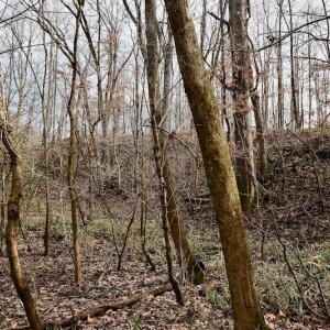 Photo #45 of SOLD property in Off Old Airport Road, Concord, NC 38.1 acres