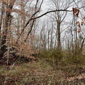 Photo #47 of SOLD property in Off Old Airport Road, Concord, NC 38.1 acres