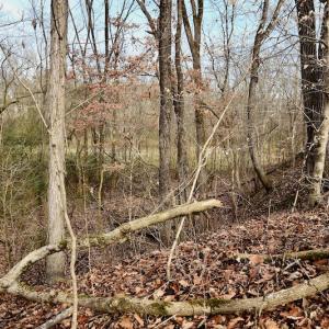 Photo #48 of SOLD property in Off Old Airport Road, Concord, NC 38.1 acres