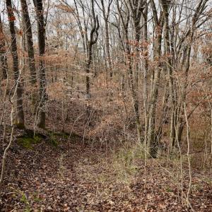 Photo #49 of SOLD property in Off Old Airport Road, Concord, NC 38.1 acres