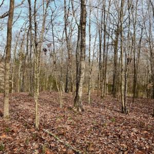 Photo #50 of SOLD property in Off Old Airport Road, Concord, NC 38.1 acres